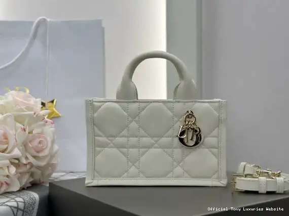 Tony Luxuries TOTE-21.5*13*7.5CM BOOK MINI diro 0501
